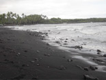 プナルウ黒砂海岸