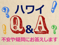 Q&A