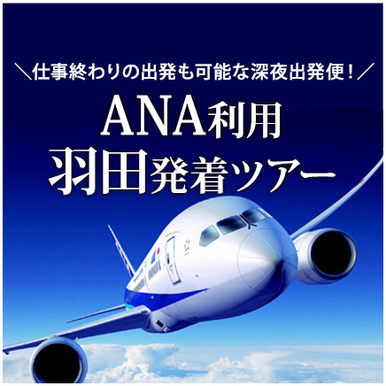 ANA利用羽田発着ツアー