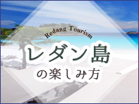 レダン島の楽しみ方