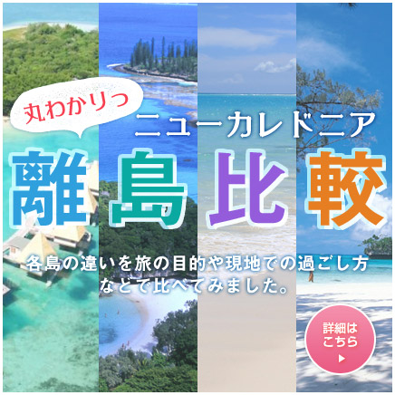 丸わかり！離島比較