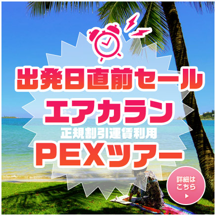 出発直前セールPEXツアー