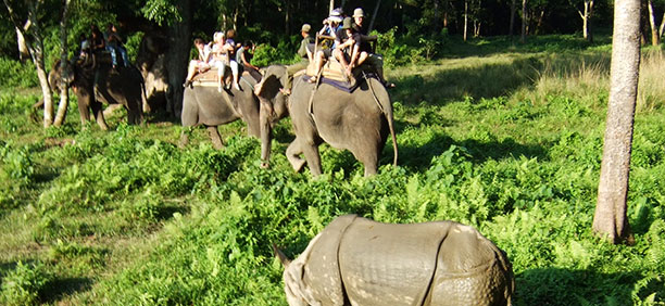 チトワン国立公園