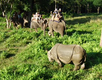 チトワン国立公園