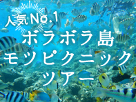 ボラボラ島モツピクニックツアー