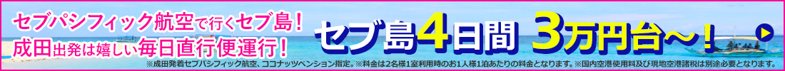 セブパシフィック航空で行くセブ島