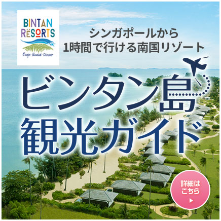 ビンタン島