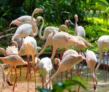 マニヤラ湖国立公園