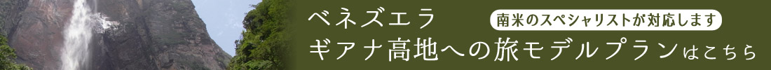 ギアナ高地モデルプラン