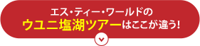 エス･ティー･ワールドのウユニ塩湖ツアーはここが違う！