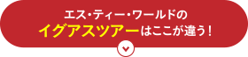 エス・ティー・ワールドのイグアスツアーはここが違う！