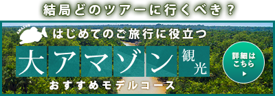 大アマゾン観光おすすめモデルコース