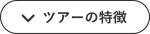 ツアーの特徴