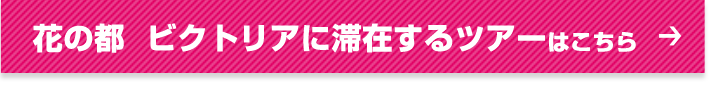 花の都  ビクトリアに滞在するツアーはこちら