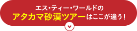 エス・ティー・ワールドのアタカマ砂漠ツアーはここが違う！