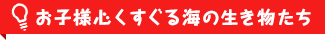 お子様心くすぐる海の生き物たち