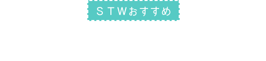 STWでインド旅行に行くべき3つの理由