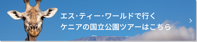 エス･ティー･ワールドで行くケニアの国立公園ツアーはこちら