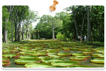 パンプルムース植物園