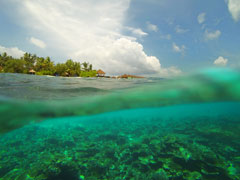 ROBINSON CLUB MALDIVES 水中