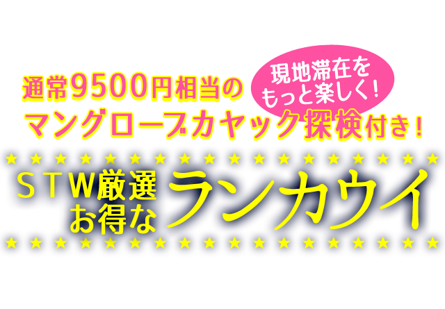 通常9500円相当の大人気マングローブクルーズカヤック探検付き！ランカウイ滞在をお得にエンジョイ！