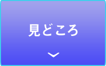 イルデパン島の見どころ