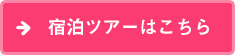 宿泊ツアーはこちら