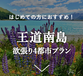 王道南島欲張り4都市プラン