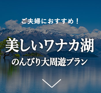 美しいワナカ湖のんびり大周遊プラン