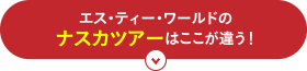 エス・ティー・ワールドのナスカツアーはここが違う!