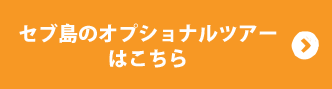 セブ島のオプショナルツアーはこちら