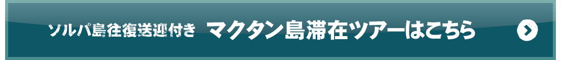 ソルパ島往復送迎付きマクタン島滞在ツアーはこちら