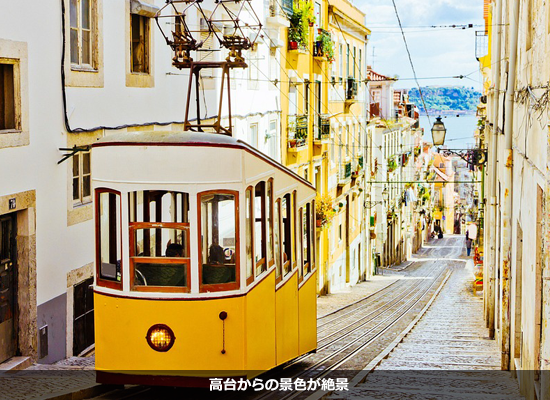 高台からの景色が絶景