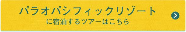 ツアーはこちら