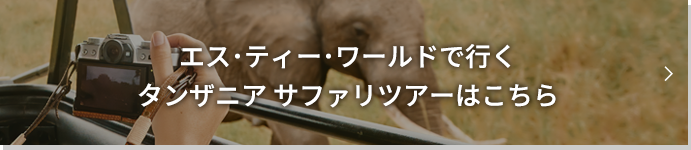 エス･ティー･ワールドで行くタンザニアの国立公園ツアーはこちら