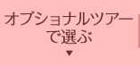 オプショナルツアーで選ぶ