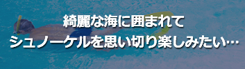 綺麗な海に囲まれてシュノーケルを思い切り楽しみたい