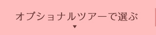 オプショナルツアーで選ぶ