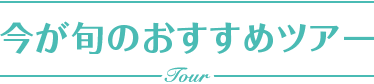 今が旬のおすすめツアー