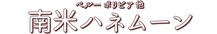 南米に感動のハネムーンへ