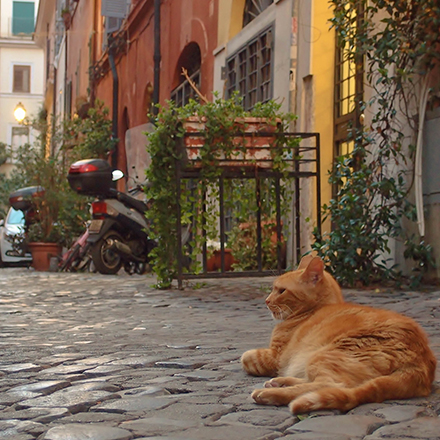 イタリアの風景