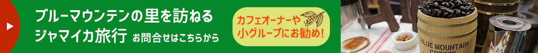 ブルーマウンテンの里を訪ねるジャマイカ旅行