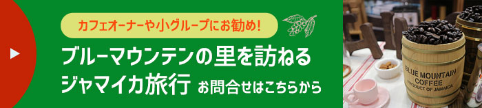 ブルーマウンテンの里を訪ねるジャマイカ旅行