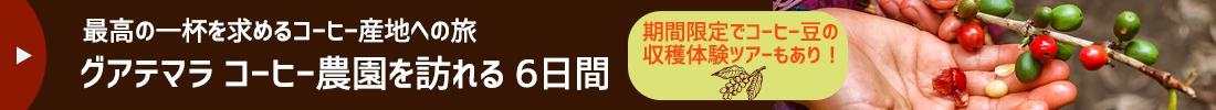 グアテマラ コーヒー農園を訪れる6日間