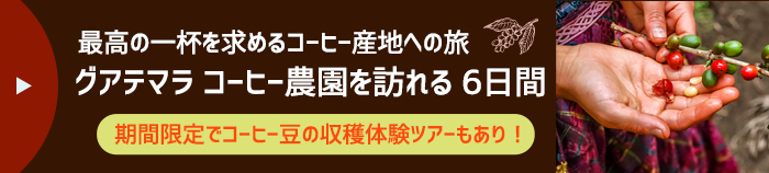 グアテマラ コーヒー農園を訪れる6日間