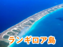 タヒチ ランギロア島