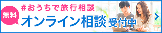 スカイプ相談実施中